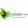 Ecofaster S.a.s
