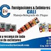 Fumigaciones & Extintores Cali