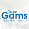 Grupo Gams